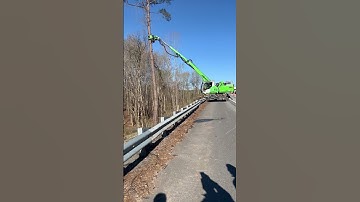 The Sennebogen 718 slings down a huge Pine top