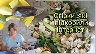 :  ,  .   