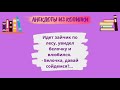 Анекдоты! Подборка Весёлых Анекдотов! Зайчик Влюбился в Белочку! Позитив! Смех! Приколы!