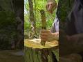 DIY knife handle in the wild🔪🪢🧵 #lifehacks #bushcraft #survival #active #outdoors