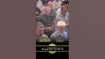 سورة يس بصوت ملائكي للشيخ هزاع البلوشي  #المصحف #اكسبلور #راحة_نفسية