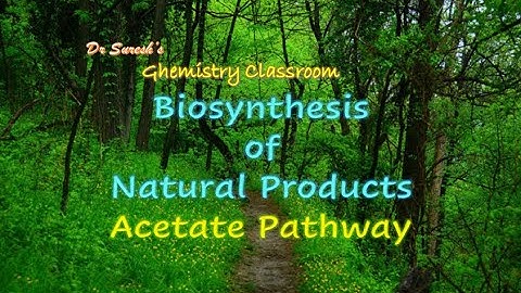 Biosynthesis of Fatty Acids - Acetate Pathway