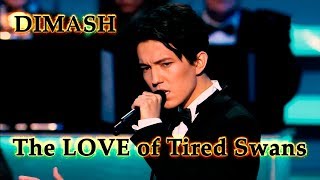 ДИМАШ / DIMASH - Любовь Уставших Лебедей / The Love of Tired Swans