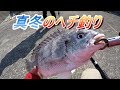 真冬のヘチ釣り、餌と仕掛けはこんな感じでやりましたよ。