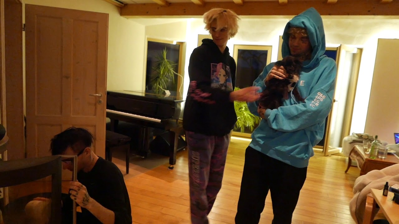 mit wavvy, taddlö, ardy und pipi am ende der welt