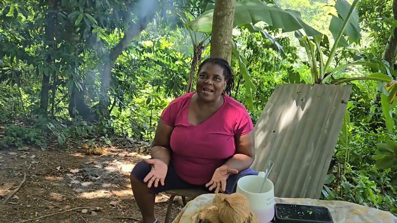 PUMPKIN DUMPLINGS, BOILED DASHEEN, BANANAS and SWEET POTATO serve with CALLALOO RED HERRING RUNDOWN.