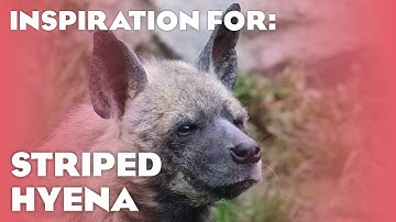 10 Real Striped Hyena Habitats! (Planet Zoo Inspiration)