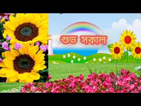 প্রভাতী একগুচ্ছ ফুলের শুভেচ্ছা🌺🌺 শুভ সকাল🦜🦜GOOD MORNING