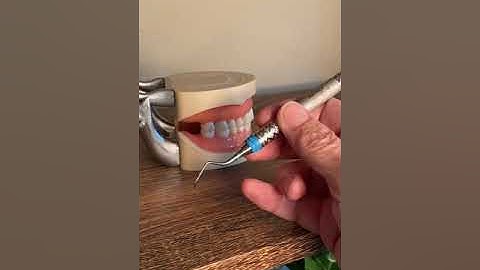 Universal curet - Barnhard 1/2