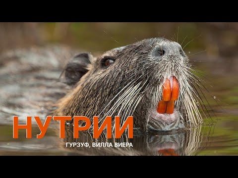 Отдых в Гурзуфе,