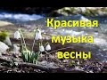 Март Красивая музыка весны Beautiful Music Of Spring