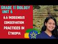 Grade 11 Biology Unit 6:6.6 Indigenous conservation practices in Ethiopia | Saquama