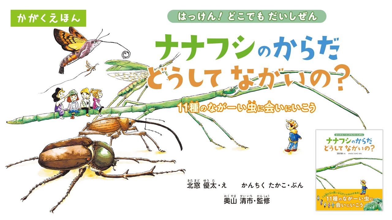 絵本 ナナフシのからだ どうしてながいの の内容紹介 あらすじ 北窓 優太 絵本屋ピクトブック