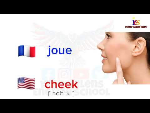 | learn english | - Le corps humain en anglais