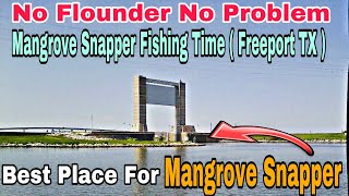 Secret Spot For Mangrove Snapper Fishing | Freeport Texas ( 11-14-2021 )
