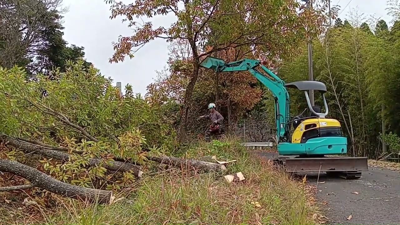 久住のおっちゃん&おばちゃんの田舎暮らし・田んぼの日陰になるクヌギの木の伐採編！！