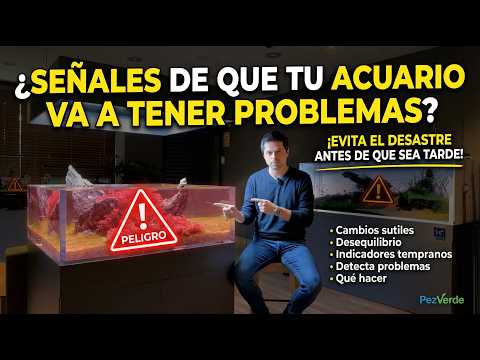 Siete Señales de que tu acuario va a tener problemas | Cómo evitarlo | PezVerde