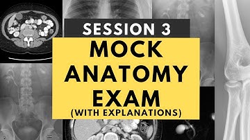 Radiology anatomy practice test: Session 3 (with answers and explanations) - FRCR Part 1 prep