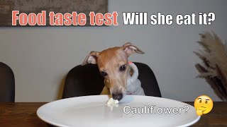 Honey ASMR and taste test | Dog food review