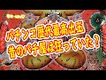 一撃30万発オーバー？　パチンコ歴代最高出出玉　台の故障か店が仕組んだのか　伝説の春夏秋冬135連事件