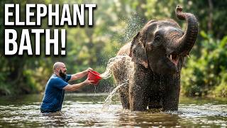 Swimming with Happy Elephants in Thailand - 4K