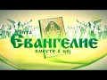 Читаем Евангелие вместе с Церковью. 22 мая 2018г