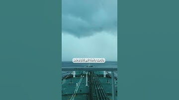 قراءة هادئة ومؤثرة من سورة فصلت