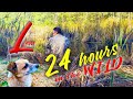 24 HOURS in the WILD WITH a DOG. FISHING and METAL DETECTING. UKRAINE