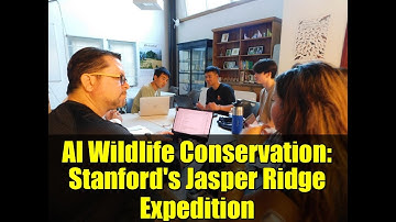 AI Wildlife Conservation: Stanford