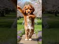 Wow super cute dog dancing aiart