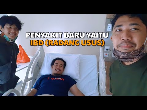 Video: Penyakit Radang Usus (IBD) Pada Anjing