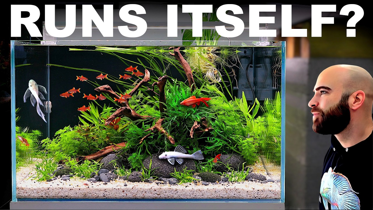 What Happens If You Let Nature Run the Aquarium?