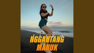 Nggantang Manuk