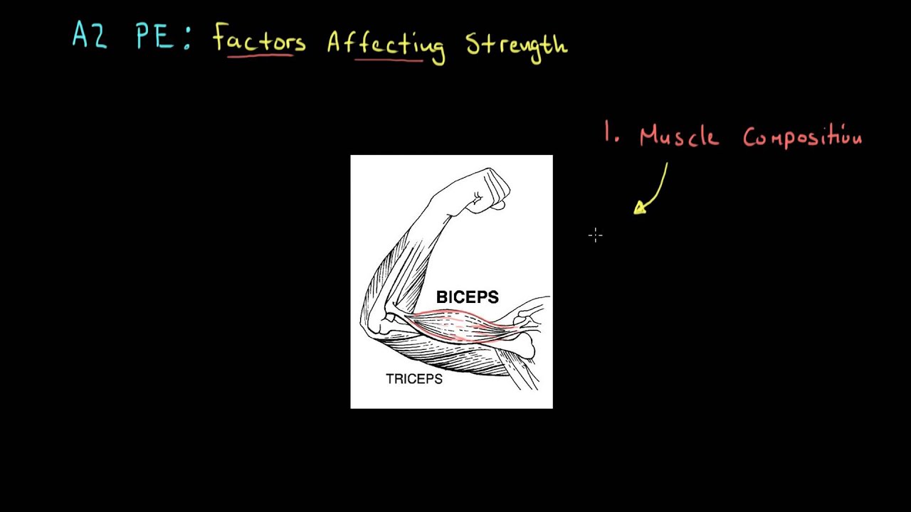 A2 PE - Factors Affecting Strength Short - YouTube