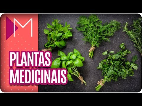 Vídeo: 6 Regras Para Fazer Remédios Caseiros A Partir De Plantas