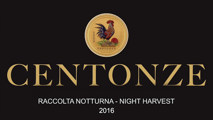 RACCOLTA OLIVE DI NOTTE - OLIVES NIGHT HARVEST 2016