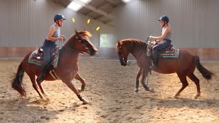 Voor de eerste keer western rijden! Als dat maar goed gaat...