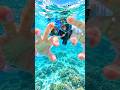 【ASMR】石垣島で泳いでる気分になれる動画🐠💤 #環境音 #沖縄 #石垣島