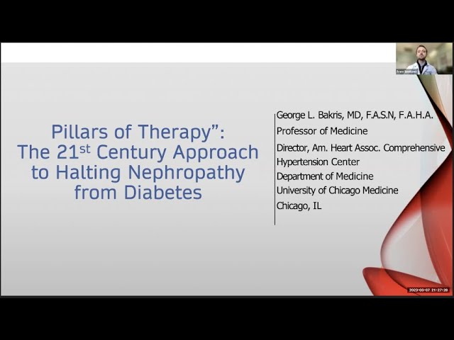 Pillars of Therapy: The 21st Century Approach to Halting Nephropathy from Diabetes