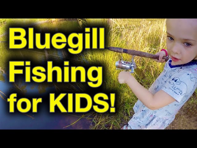 Bluegill Fishing for Kids 