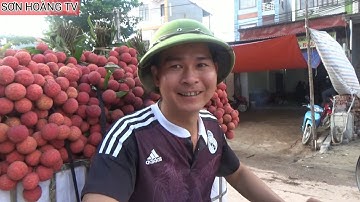 Cập Nhật Giá Vải Thiều Lục Ngạn 17/6/2020 tại ngã ba Đồng cốc ( Luc Ngan litchi )