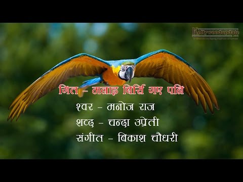 Manoj Raj - Malai Birsi Gaye Pani