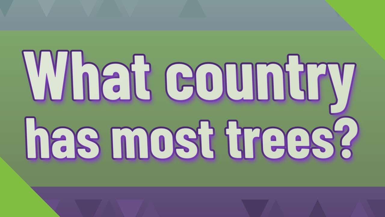 What Country Has Most Trees YouTube What Country Has Most Trees YouTube
