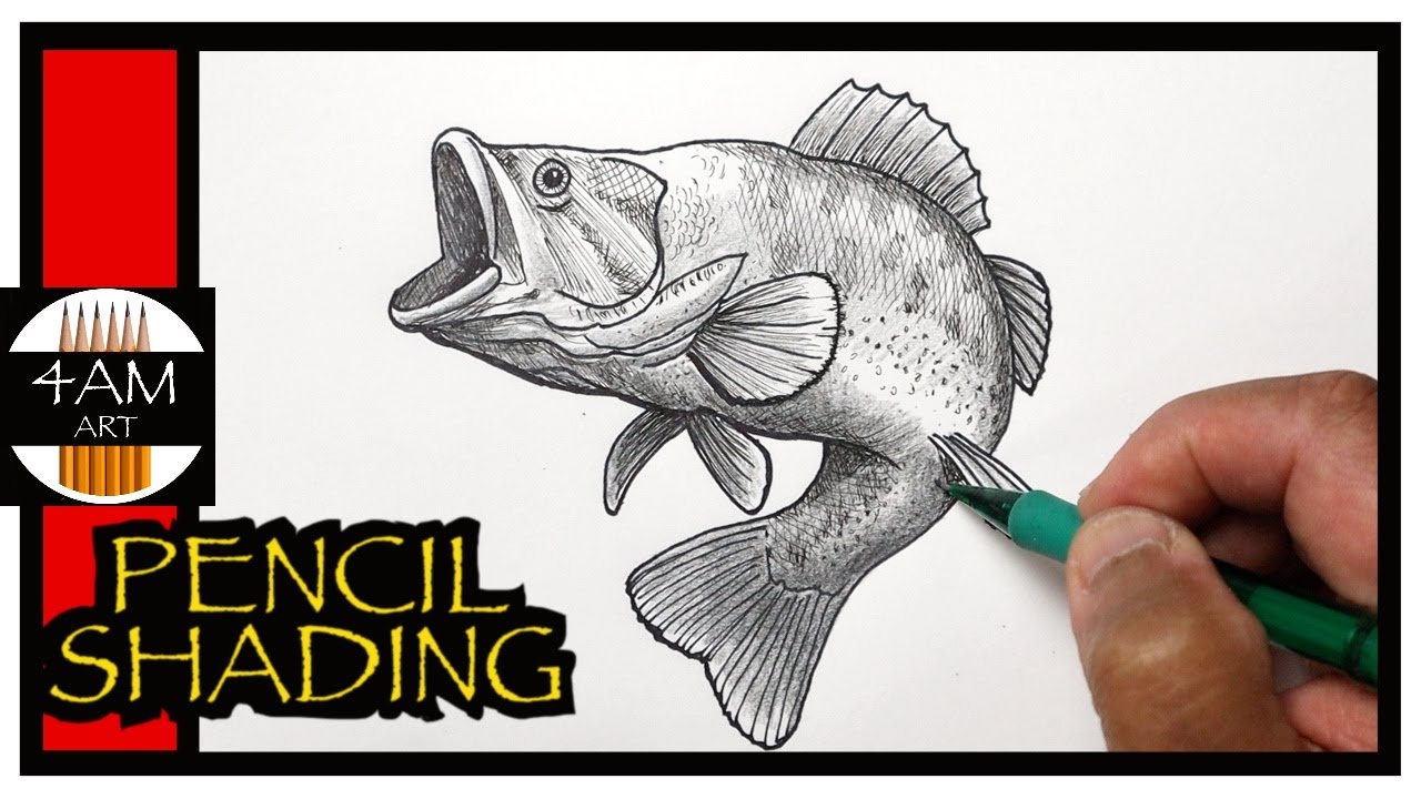 How to Draw a LARGEMOUTH BASS: PENCIL SHADING 