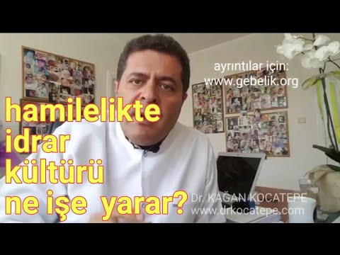 Video: İdrar Kültürü Testi