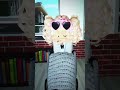 ใครเกอ่อคนนั่งวิวแชร์(หยอกๆ)#roblox #โรบอก #brookhaven #รักfcทุกคน #dinono