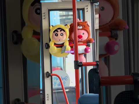 Bus in Busan