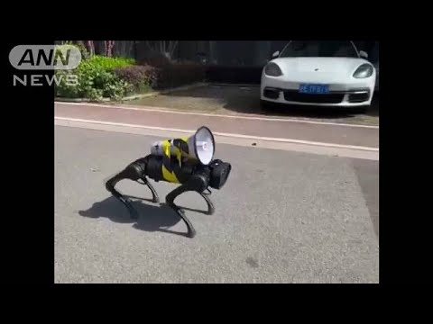 上海で感染拡大　“犬型ロボット”導入し対策訴え(2022年3月30日)