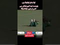 Pakistani cricket Aliya Ka best Cutch video/#saqibkhan