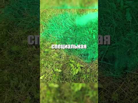 А вы знали раньше, что такое гидропосев? Реально работает или очередной маркетинг? 🌱🚜🤔